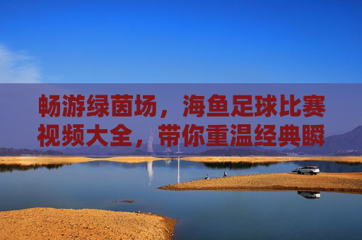 畅游绿茵场,海鱼足球比赛视频大全,带你重温经典瞬间