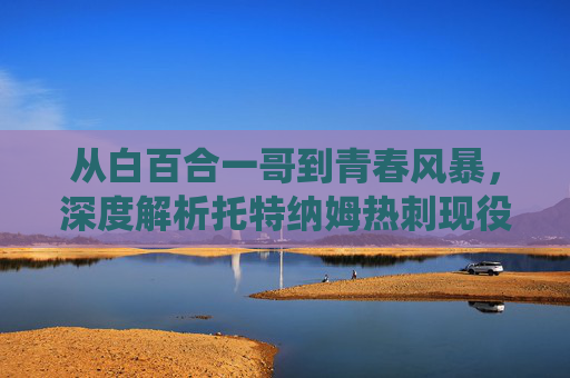 从白百合一哥到青春风暴,深度解析托特纳姆热刺现役豪华阵容