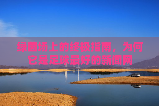 绿茵场上的终极指南,为何它是足球最好的新闻网