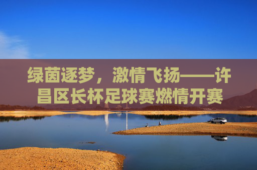 绿茵逐梦，激情飞扬——许昌区长杯足球赛燃情开赛