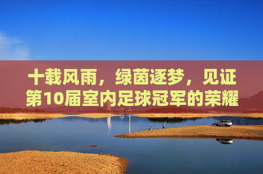 十载风雨,绿茵逐梦,见证第10届室内足球冠军的荣耀时刻