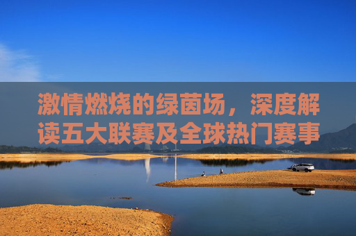 激情燃烧的绿茵场,深度解读五大联赛及全球热门赛事动态