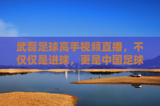 武磊足球高手视频直播,不仅仅是进球,更是中国足球的硬核实力展示
