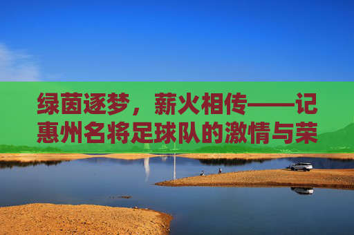绿茵逐梦,薪火相传——记惠州名将足球队的激情与荣光