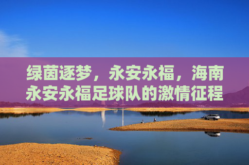 绿茵逐梦,永安永福,海南永安永福足球队的激情征程
