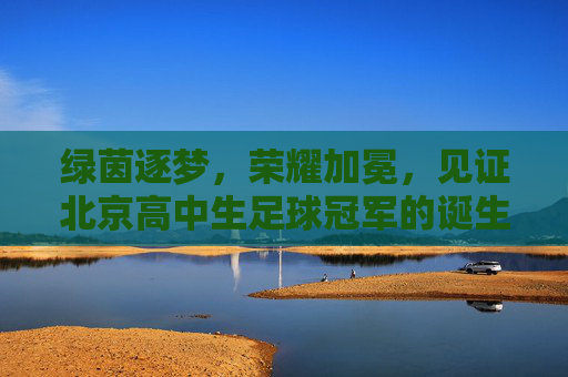绿茵逐梦,荣耀加冕,见证北京高中生足球冠军的诞生