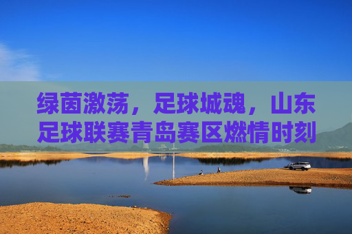 绿茵激荡,足球城魂,山东足球联赛青岛赛区燃情时刻
