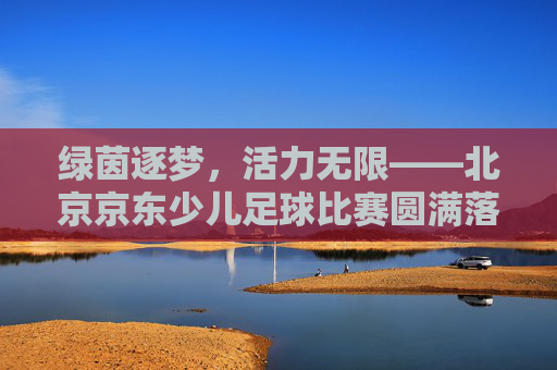 绿茵逐梦,活力无限——北京京东少儿足球比赛圆满落幕