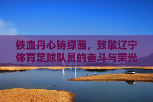 铁血丹心铸绿茵,致敬辽宁体育足球队员的奋斗与荣光
