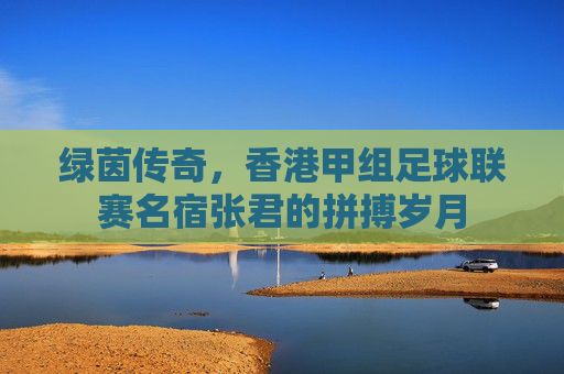 绿茵传奇,香港甲组足球联赛名宿张君的拼搏岁月