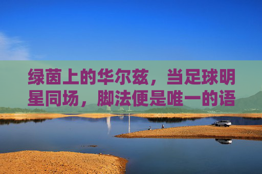 绿茵上的华尔兹,当足球明星同场,脚法便是唯一的语言