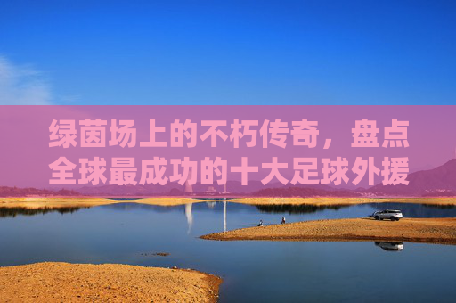 绿茵场上的不朽传奇，盘点全球最成功的十大足球外援