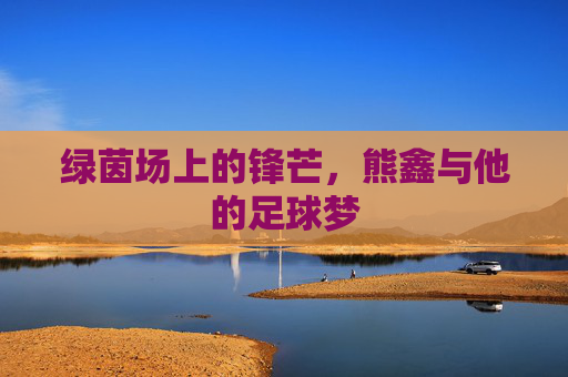 绿茵场上的锋芒，熊鑫与他的足球梦