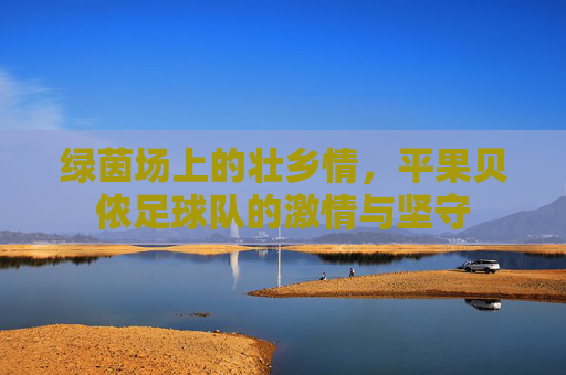 绿茵场上的壮乡情,平果贝侬足球队的激情与坚守