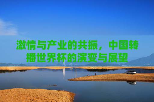 激情与产业的共振，中国转播世界杯的演变与展望