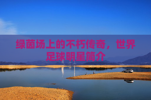 绿茵场上的不朽传奇,世界足球明星简介