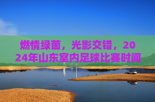 燃情绿茵,光影交错,2024年山东室内足球比赛时间与全攻略