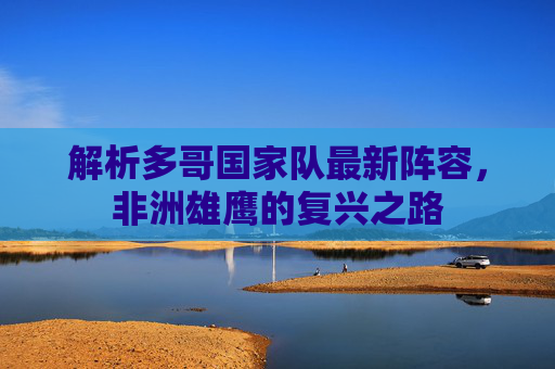 解析多哥国家队最新阵容，非洲雄鹰的复兴之路