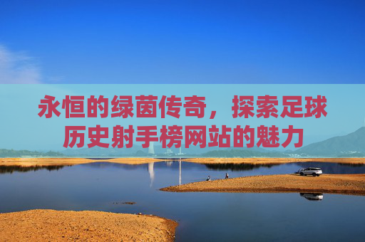 永恒的绿茵传奇，探索足球历史射手榜网站的魅力