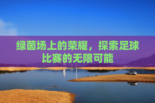 绿茵场上的荣耀,探索足球比赛的无限可能