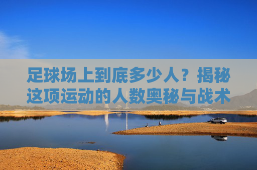 足球场上到底多少人?揭秘这项运动的人数奥秘与战术博弈