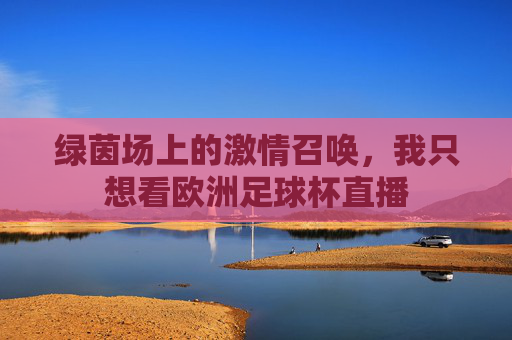 绿茵场上的激情召唤,我只想看欧洲足球杯直播