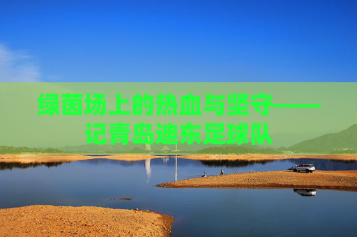 绿茵场上的热血与坚守——记青岛迪东足球队