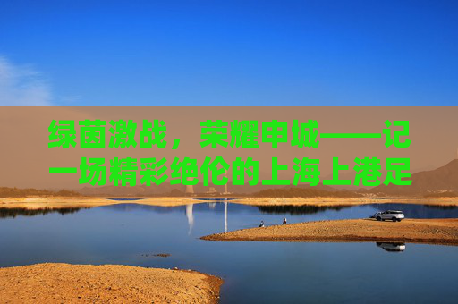 绿茵激战,荣耀申城——记一场精彩绝伦的上海上港足球赛