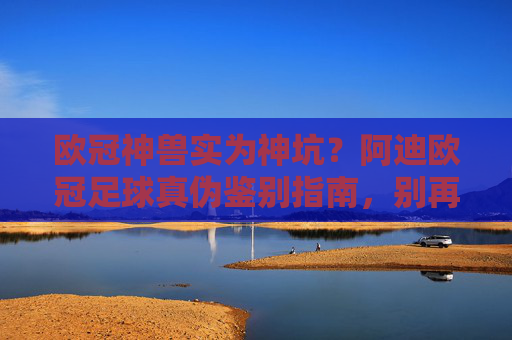 欧冠神兽实为神坑?阿迪欧冠足球真伪鉴别指南,别再花冤枉钱!