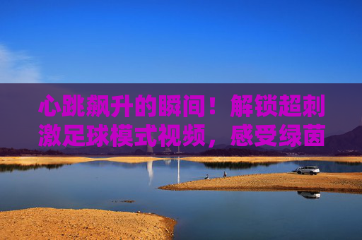 心跳飙升的瞬间！解锁超刺激足球模式视频，感受绿茵场上的极限狂飙