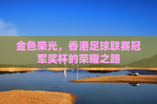 金色荣光,香港足球联赛冠军奖杯的荣耀之路