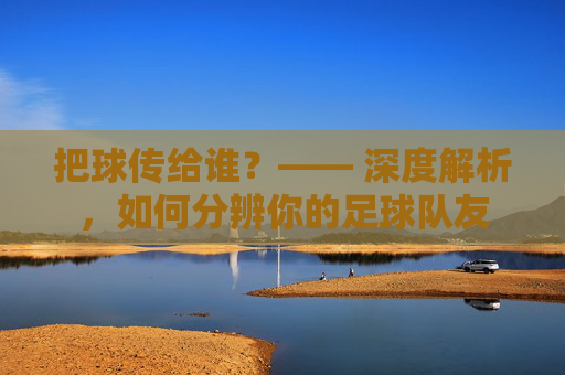 把球传给谁?—— 深度解析,如何分辨你的足球队友