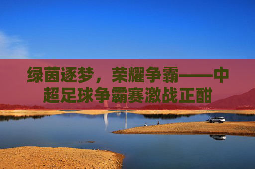 绿茵逐梦,荣耀争霸——中超足球争霸赛激战正酣