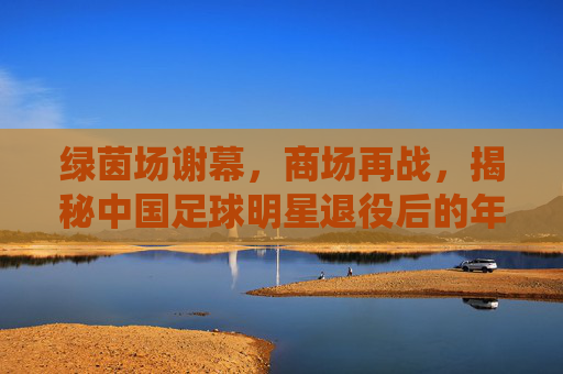 绿茵场谢幕,商场再战,揭秘中国足球明星退役后的年薪真相