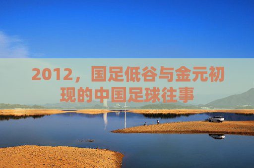 2012,国足低谷与金元初现的中国足球往事