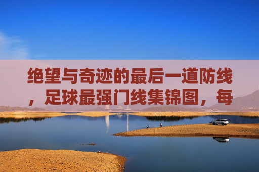 绝望与奇迹的最后一道防线，足球最强门线集锦图，每一帧都是心跳