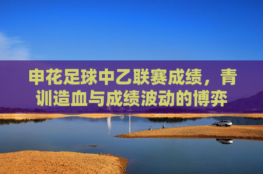 申花足球中乙联赛成绩,青训造血与成绩波动的博弈
