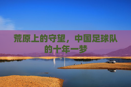 荒原上的守望,中国足球队的十年一梦