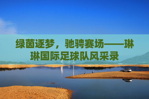 绿茵逐梦,驰骋赛场——琳琳国际足球队风采录