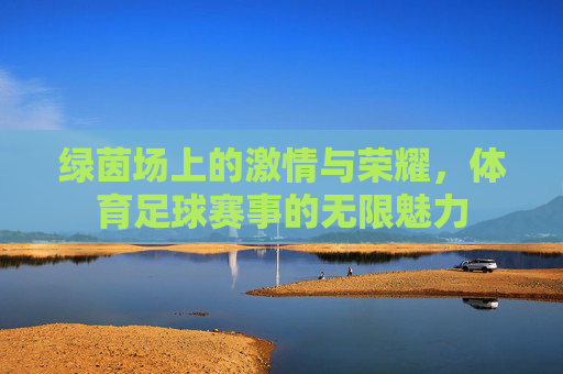 绿茵场上的激情与荣耀,体育足球赛事的无限魅力