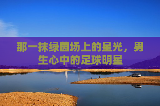 那一抹绿茵场上的星光,男生心中的足球明星