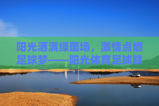 阳光洒满绿茵场,激情点燃足球梦——阳光体育足球联赛侧记