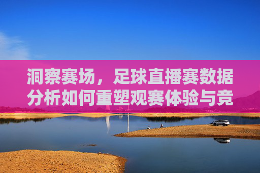 洞察赛场,足球直播赛数据分析如何重塑观赛体验与竞技决策