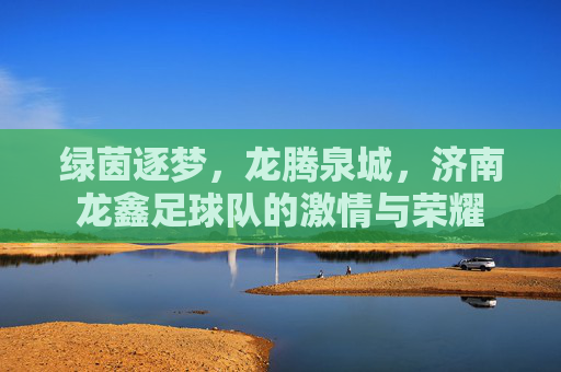 绿茵逐梦，龙腾泉城，济南龙鑫足球队的激情与荣耀
