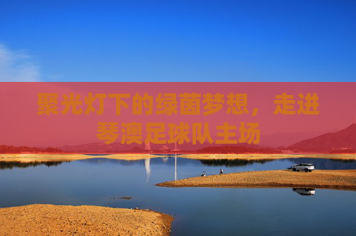 聚光灯下的绿茵梦想,走进琴澳足球队主场