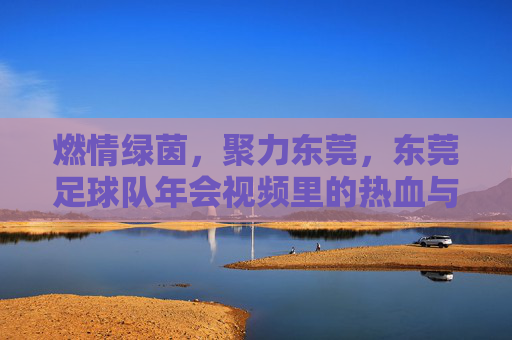 燃情绿茵,聚力东莞,东莞足球队年会视频里的热血与温情