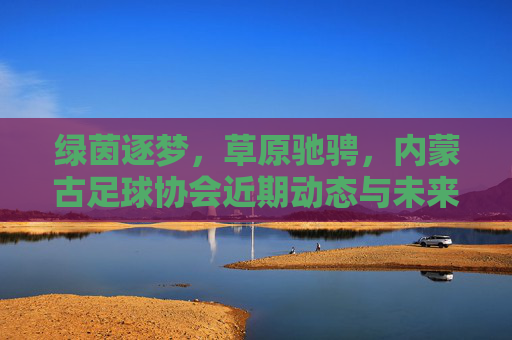 绿茵逐梦,草原驰骋,内蒙古足球协会近期动态与未来展望
