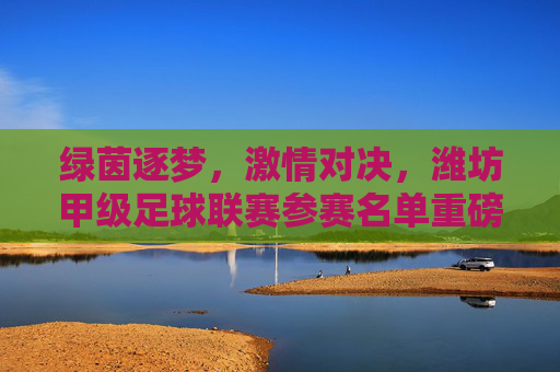 绿茵逐梦,激情对决,潍坊甲级足球联赛参赛名单重磅出炉