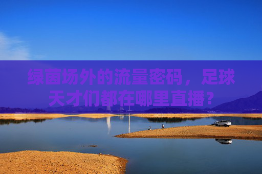 绿茵场外的流量密码,足球天才们都在哪里直播?