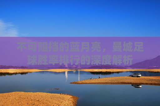 不可阻挡的蓝月亮,曼城足球胜率排行的深度解析